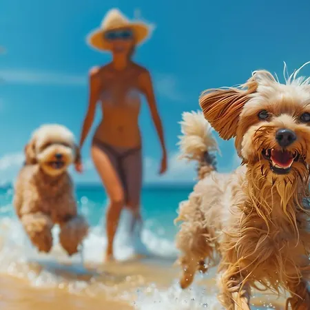 Marinella - On The - Private Free Parking Capo Vaticano